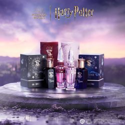Bei Rossmann: Diese „Harry Potter“-Parfums sorgen jetzt für einen großen Hype!