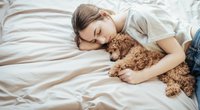 Frauen schlafen besser neben Hunden als neben ihren Männern!
