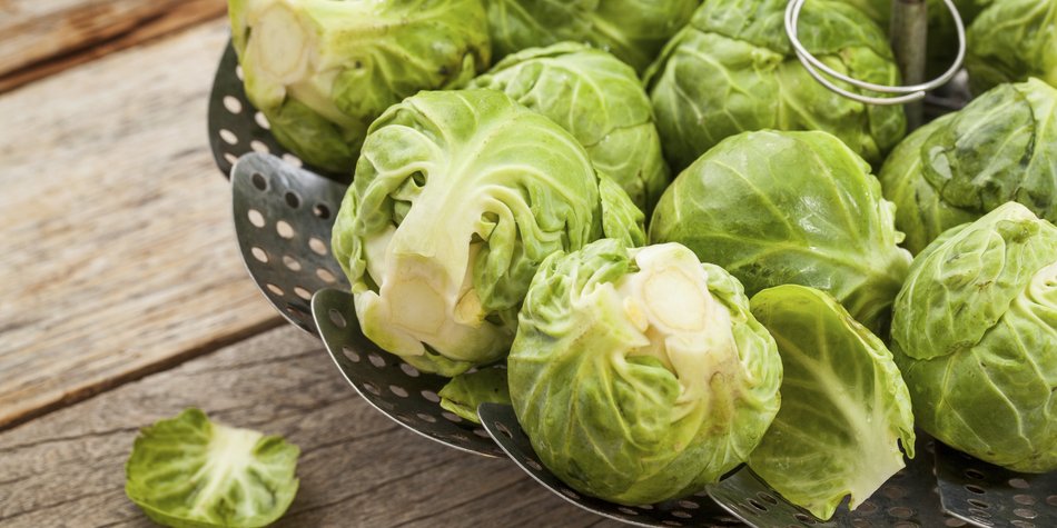 Dampfgaren: Sanft zum Genuss Dampfgaren: Sanft zum Genuss