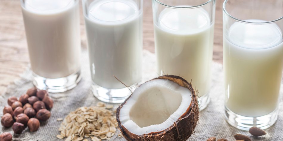 6 Alternativen zu Milch, die du kennen solltest 6 Alternativen zu Milch, die du kennen solltest