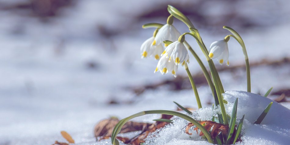 Bis zu 1,5 Meter Neuschnee: Mitten im März heißt es Winter statt Frühling! Bis zu 1,5 Meter Neuschnee: Mitten im März heißt es Winter statt Frühling!