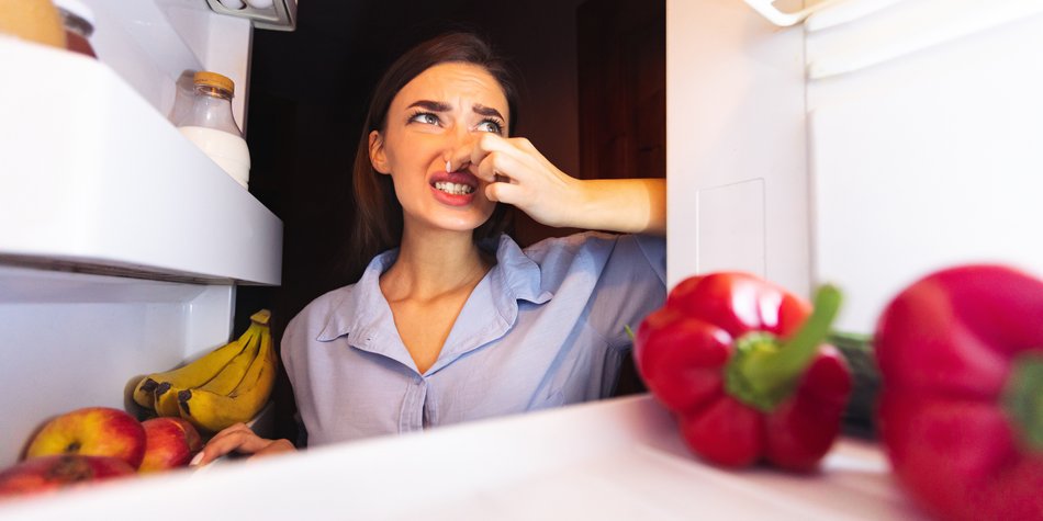 Kühlschrank reinigen: So wird er wieder hygienisch sauber! Kühlschrank reinigen: So wird er wieder hygienisch sauber!