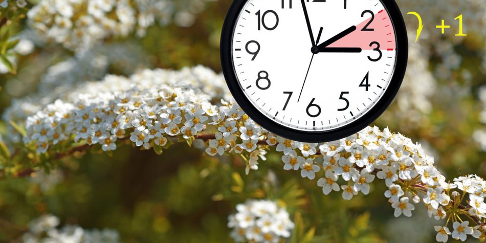 Sommerzeit abschaffen? Das Ergebnis der Umfrage ist da Sommerzeit abschaffen? Das Ergebnis der Umfrage ist da