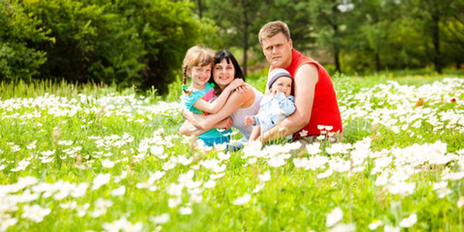Abläufe bei der Adoption Abläufe bei der Adoption