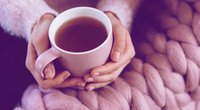 Guayusa-Tee: Warum dich dieser leckere Tee besser wach hält als Kaffee