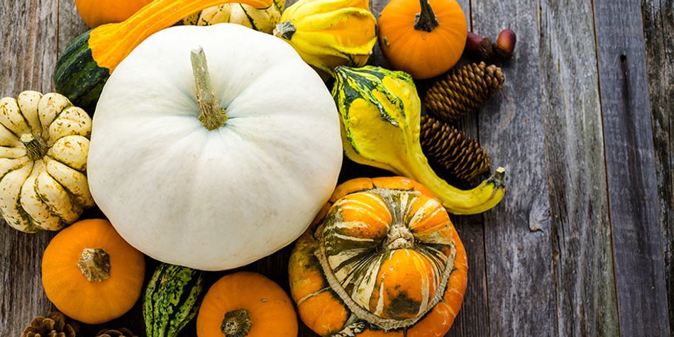Kürbis-Rezepte mal anders: So wirkt das Gemüse als Schönmacher Kürbis-Rezepte mal anders: So wirkt das Gemüse als Schönmacher