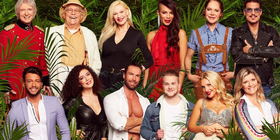 Bis zu 140.000€: Das verdienen die Dschungelcamp-Stars! Bis zu 140.000€: Das verdienen die Dschungelcamp-Stars!