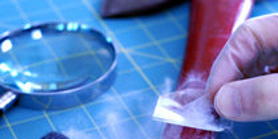 Ausbildung in der Forensik Ausbildung in der Forensik
