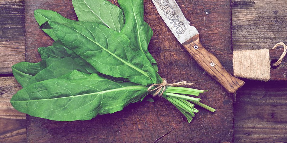Wie gesund ist Sauerampfer wirklich? Wie gesund ist Sauerampfer wirklich?
