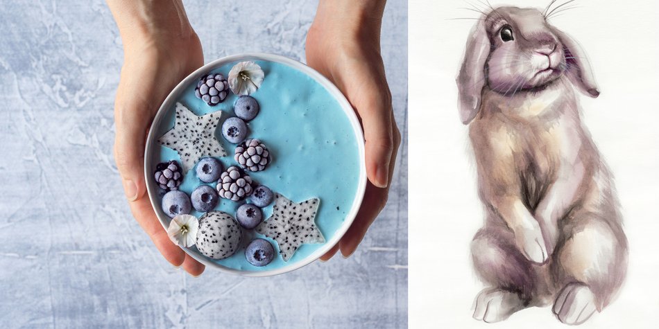 Bloggerin malt süße Tiere auf Smoothie Bowls Bloggerin malt süße Tiere auf Smoothie Bowls