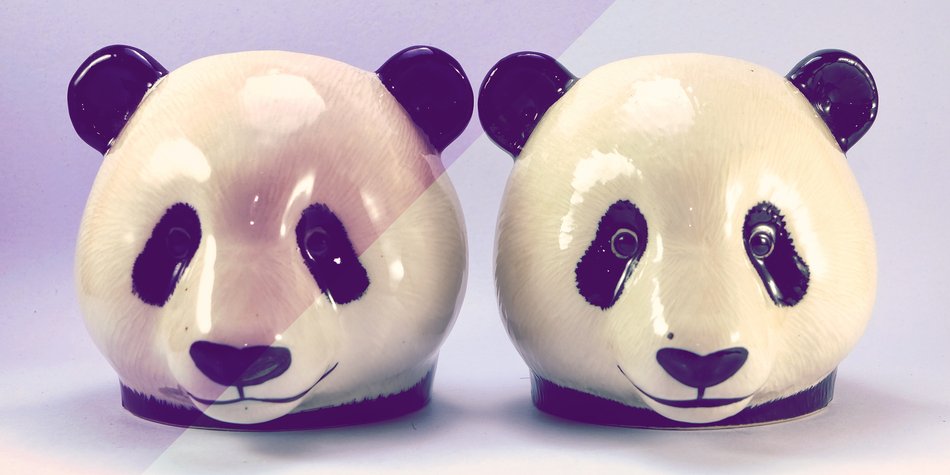 Panda-Syndrom: Ist deine Beziehung von dem Sex-Phänomen betroffen? Panda-Syndrom: Ist deine Beziehung von dem Sex-Phänomen betroffen?