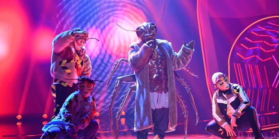 „The Masked Singer“: Dieser Promi war die Kakerlake „The Masked Singer“: Dieser Promi war die Kakerlake