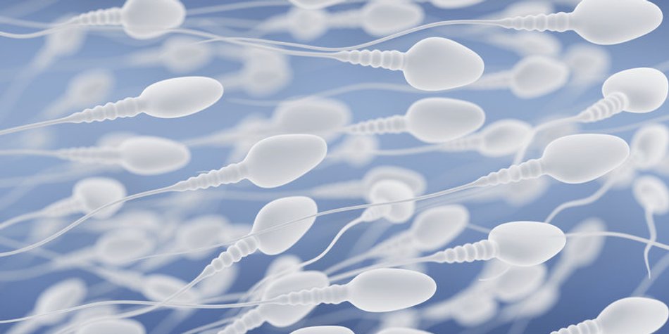 Spermiogramm zur Diagnose Spermiogramm zur Diagnose