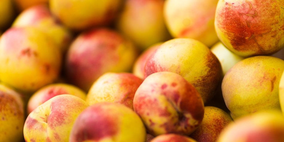 Kalorien von Nektarinen: Das steckt in der orangen Frucht! Kalorien von Nektarinen: Das steckt in der orangen Frucht!