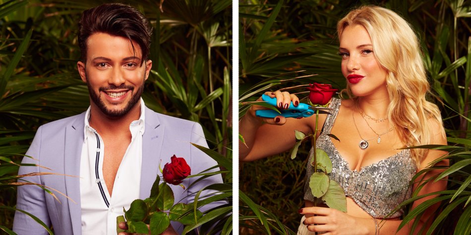 Darum freuen wir uns auf Domenico + Evelyn im Dschungel Darum freuen wir uns auf Domenico + Evelyn im Dschungel