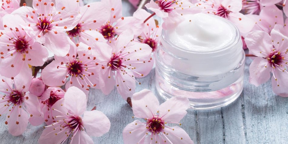 Das bewirken Kirschblüten in Beauty-Produkten Das bewirken Kirschblüten in Beauty-Produkten