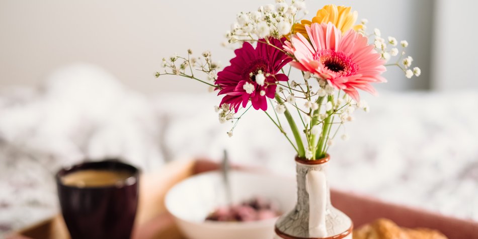 Diese Bedeutung hat die Gerbera! Diese Bedeutung hat die Gerbera!