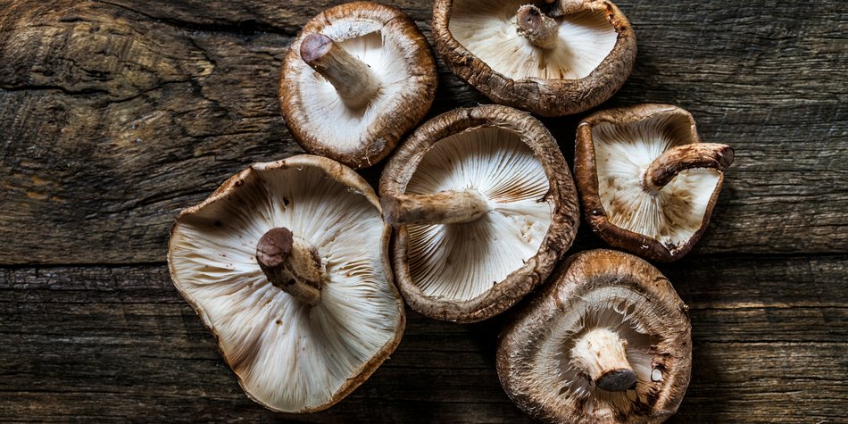 Wie gesund sind Shiitake-Pilze wirklich? Wie gesund sind Shiitake-Pilze wirklich?