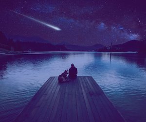 Geminiden: In dieser Nacht kannst du besonders viele Sternschnuppen sehen