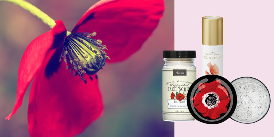 Wirksamer Beauty-Allrounder: Mit Mohn gegen schlaffe Haut und Cellulite! Wirksamer Beauty-Allrounder: Mit Mohn gegen schlaffe Haut und Cellulite!