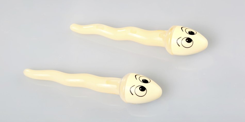 Wissenswerte Facts über Sperma Wissenswerte Facts über Sperma