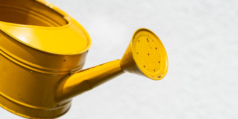Regenwasser sammeln: Mit diesen Methoden geht's ganz leicht Regenwasser sammeln: Mit diesen Methoden geht's ganz leicht