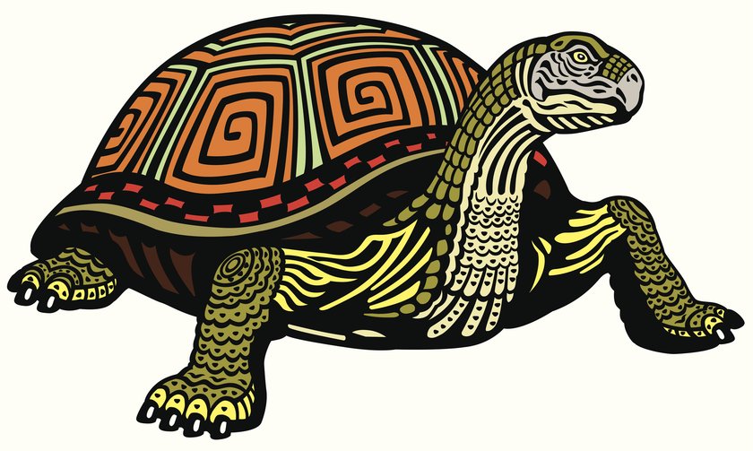 Schildkröte-Tattoo Vorlage 7