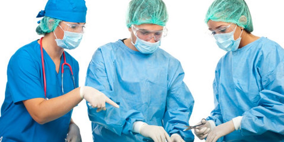 Nachwuchs nach Transplantation Nachwuchs nach Transplantation
