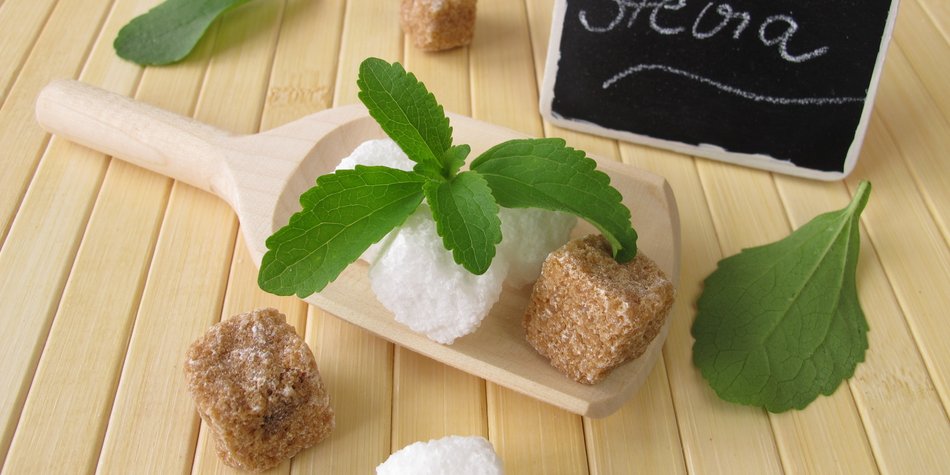 Stevia Stevia