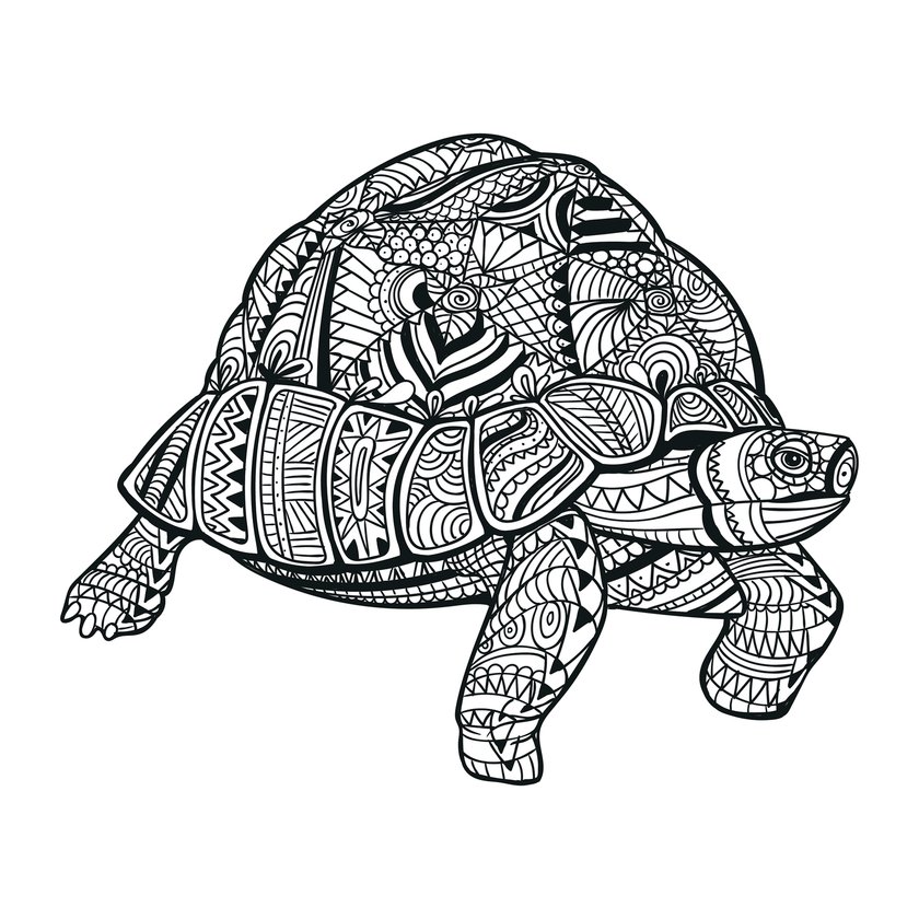 Schildkröte-Tattoo Vorlage 11