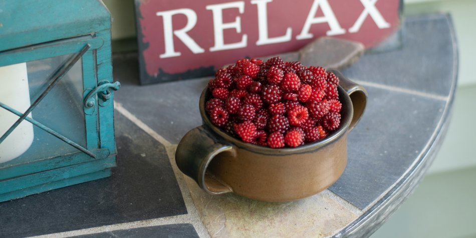 Himbeeren waschen: notwendig oder nicht? Himbeeren waschen: notwendig oder nicht?
