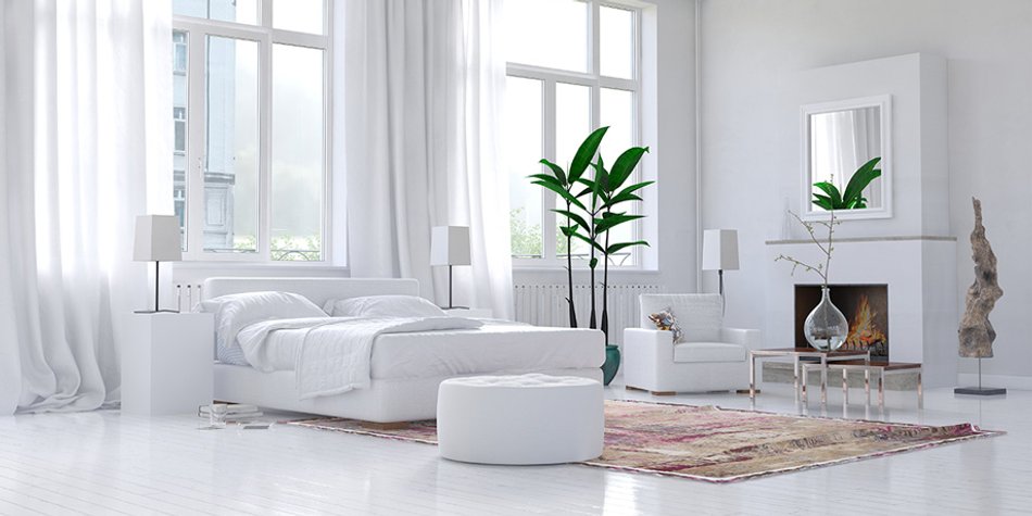 Diese stylischen Pflanzen sind besonders pflegeleicht Diese stylischen Pflanzen sind besonders pflegeleicht