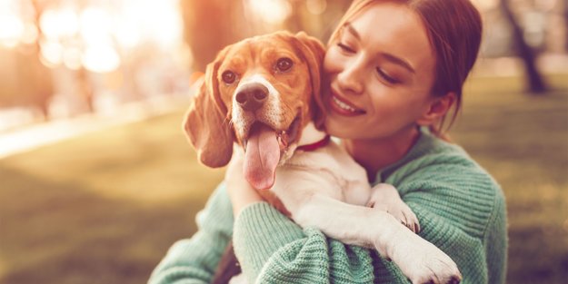 Die 9 besten Geschenke für Hundebesitzer