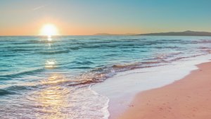 Lisha Savage: Wer ist der Freund des Reality-TV-Stars?