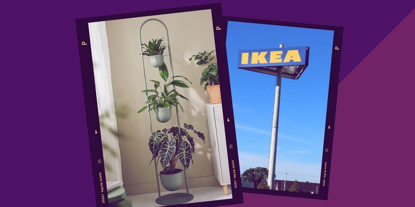 Ikea-Produkte für Pflanzen-Liebhaber