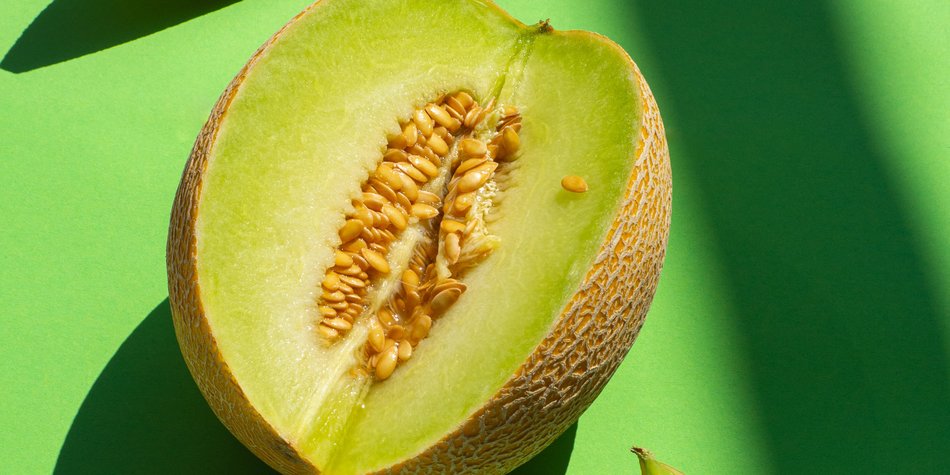 Ist die Galiamelone gesund? Wir haben nachgeforscht! Ist die Galiamelone gesund? Wir haben nachgeforscht!