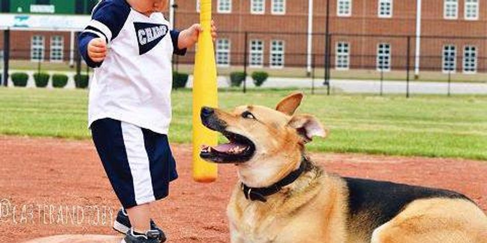 Beste Freunde: Süßer Hund und Kleinkind sind unzertrennlich Beste Freunde: Süßer Hund und Kleinkind sind unzertrennlich
