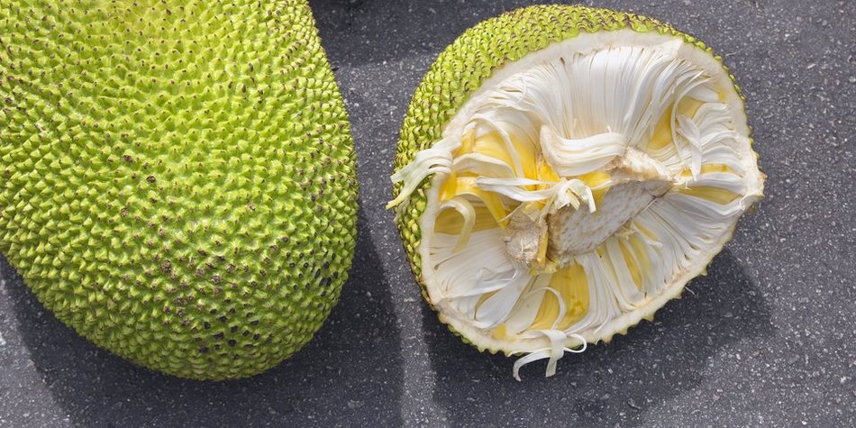 Darum ist Jackfrucht gesund - Der exotische Fleischersatz! Darum ist Jackfrucht gesund - Der exotische Fleischersatz!