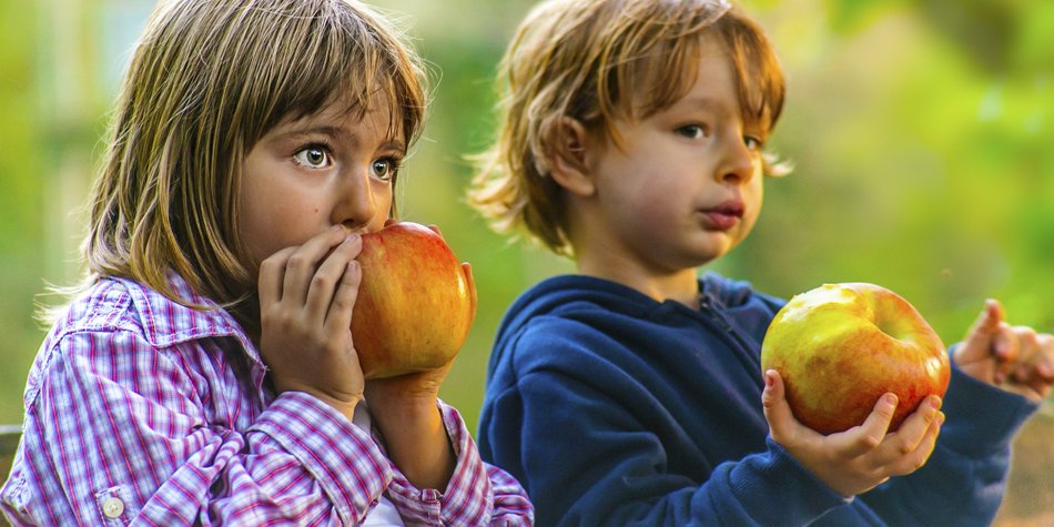 Eine gesunde Ernährung für alle Eine gesunde Ernährung für alle