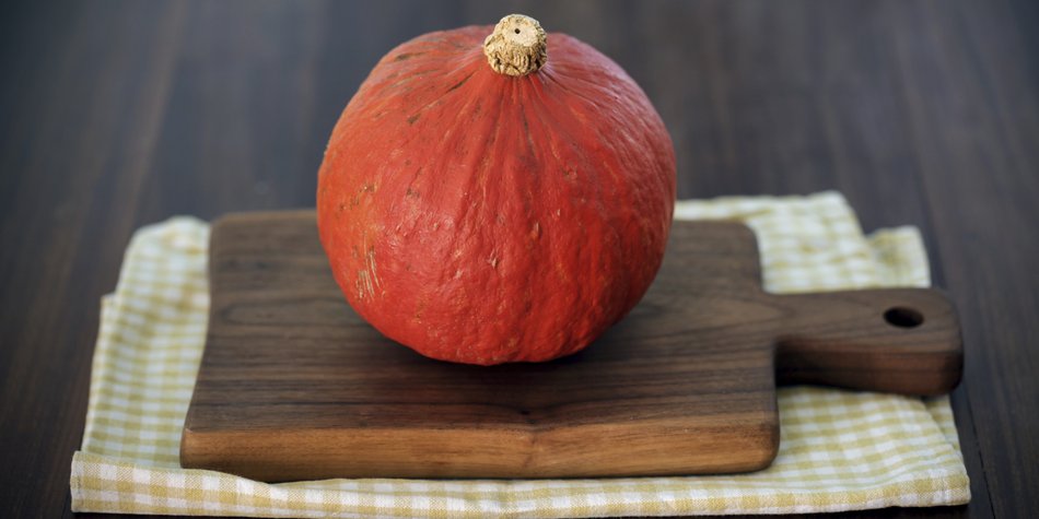 Kein Herbst ohne Hokkaido Kürbis! Kein Herbst ohne Hokkaido Kürbis!