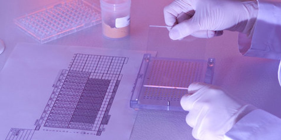 Der Blastozystentransfer Der Blastozystentransfer