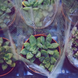 13 Ikea-Produkte, die einfach perfekt für Pflanzen-Liebhaber sind
