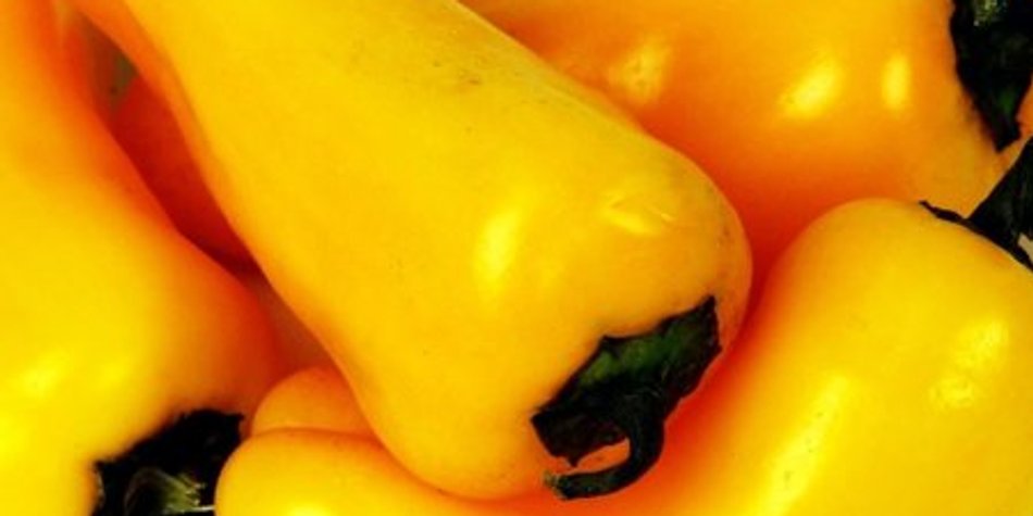 Gebratene Paprikaschoten Gebratene Paprikaschoten