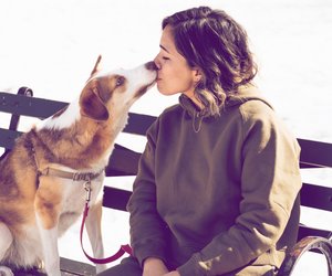 Der beste Freund des Menschen: Diese Tierkreiszeichen lieben Hunde einfach über alles