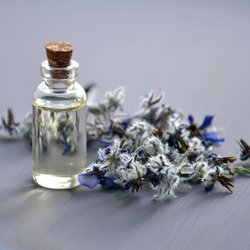 Diese 5 Pheromon-Parfums sind perfekte Sommerdüfte