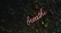 Psychedelic Breath: Meine Erfahrungen mit der gehypten Atemtechnik
