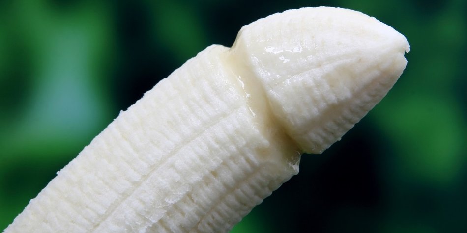 5 Penis-Fakten, die Du noch nicht kanntest 5 Penis-Fakten, die Du noch nicht kanntest