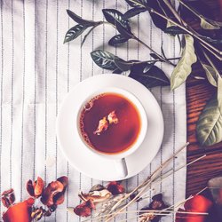 Welcher Tee ist am besten zum Abnehmen? Die 10 effektivsten Sorten