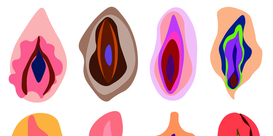 Warum wir Vulva statt Vagina sagen sollten Warum wir Vulva statt Vagina sagen sollten