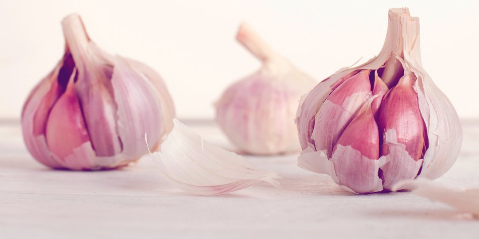 Wie gesund ist Knoblauch? Wie gesund ist Knoblauch?
